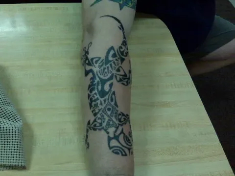 Dan - Polynesian gecko