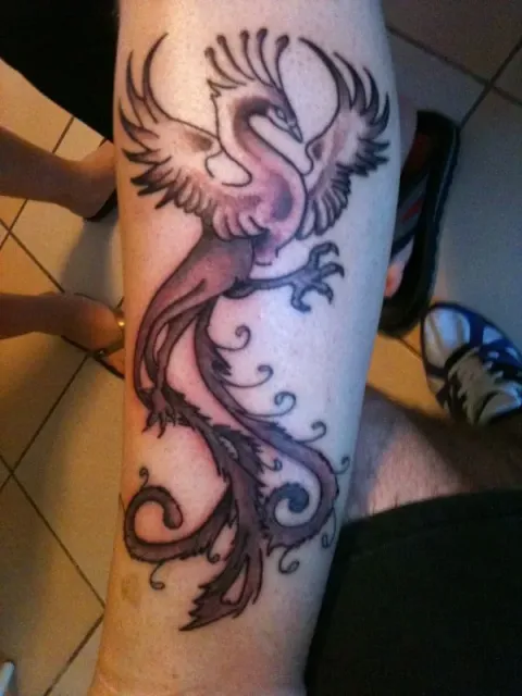 Davide - Phoenix