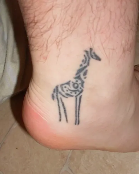 Derrick - Giraffe