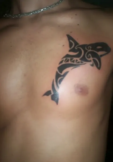 Diego - Killer whale
