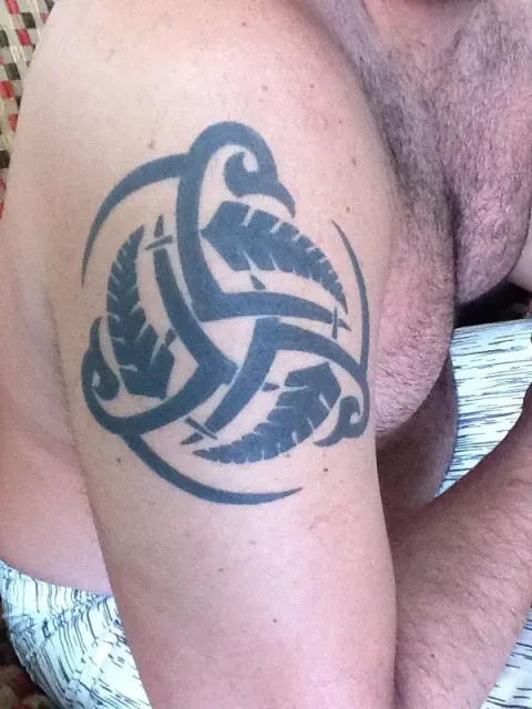 Diego - Triskell ferns