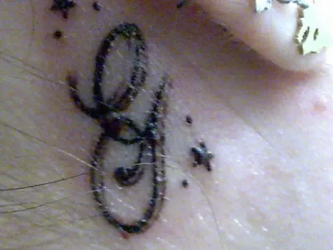 Giorgia - G/E