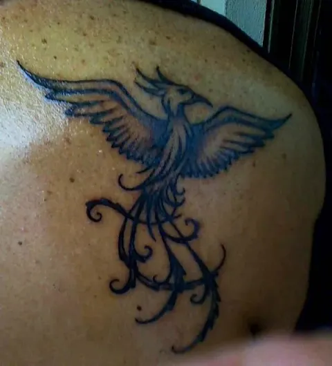 Giuseppe - phoenix