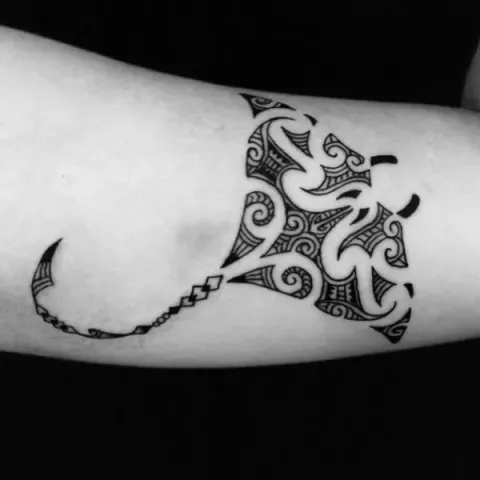 Guest - Maori manta
