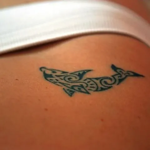 Guest - Dolphin