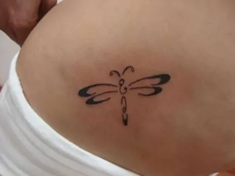 Guest - Dragonfly
