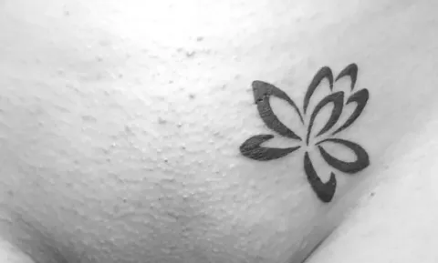 Guest - Lotus flower