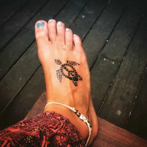 Guest - peace turtle
