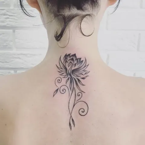 Guest - Phoenix lotus
