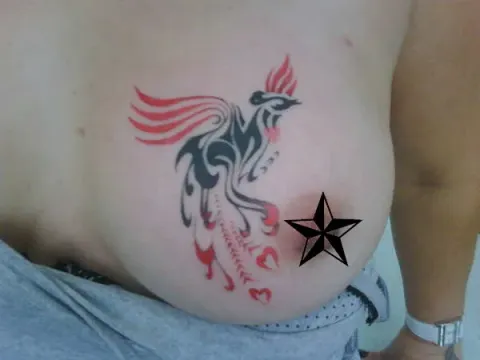 Guest - Tribal phoenix