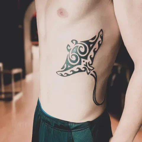 Guest - manta