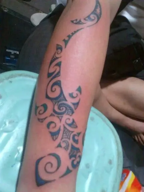 Iann - Maori hammerhead shark
