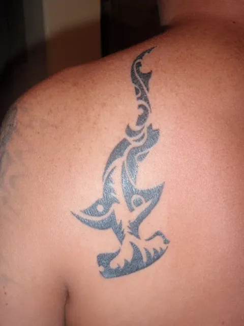 James - Hammerhead shark