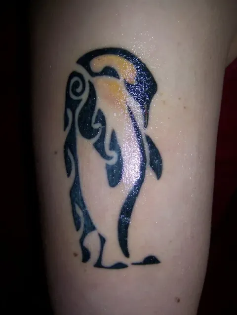 Jenna - Emperor penguin