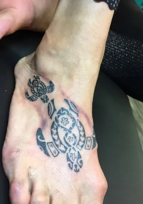 Jennifer - Hui turtles