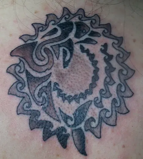 Jennifer - Sun dolphin