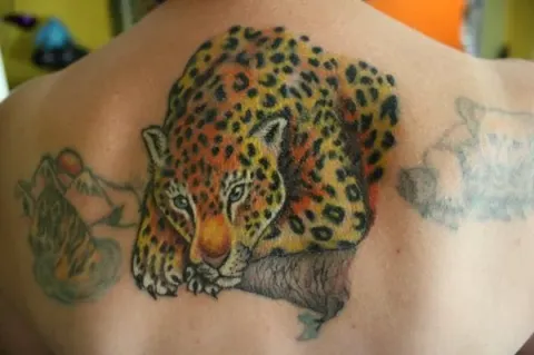 Jude - Leopard