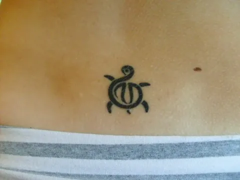 Katrhin - Turtle