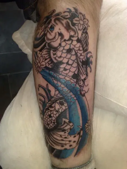 Ken - Koi