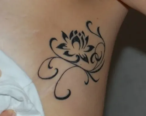 Kimba - Lotus