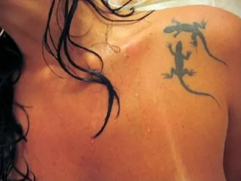 Laura - lizards