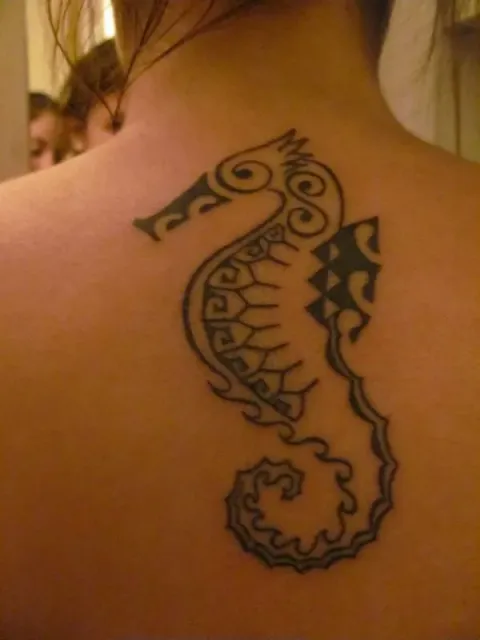 Lisa - Seahorse