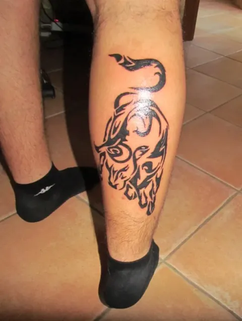 Lorenzo - bull