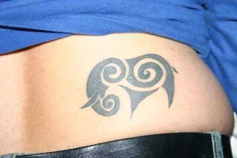 Marcia - Elephant