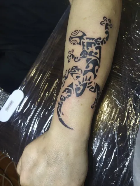 Marco - Gecko