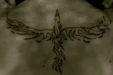 Marco - tribal phoenix