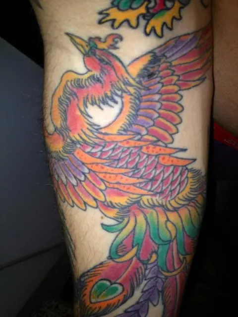 Mattia - Old school phoenix