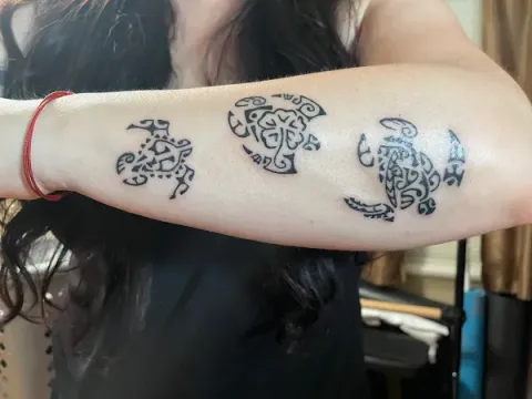 Nicole - 3 turtles