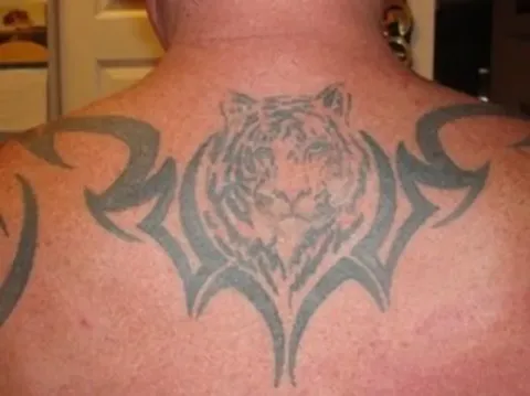 Randy - Tiger