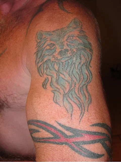 Randy - Wolf