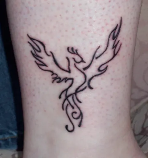 Robin - Phoenix