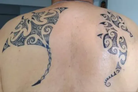 Shahab - Kirituhi seahorse