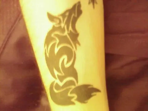 Tiocfaidh Ar La - Wolf