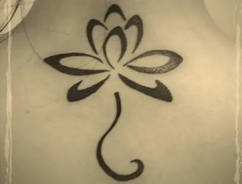 Viktoria - Lotus flower
