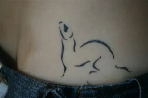 Viviana - ferret