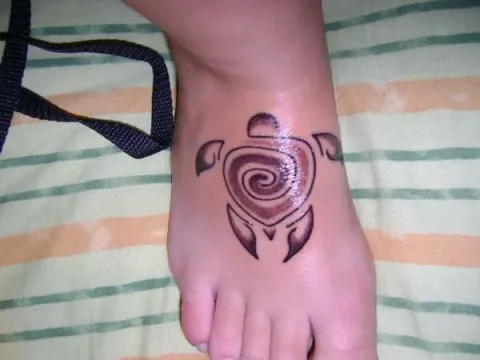 Giulia - Spiral turtle