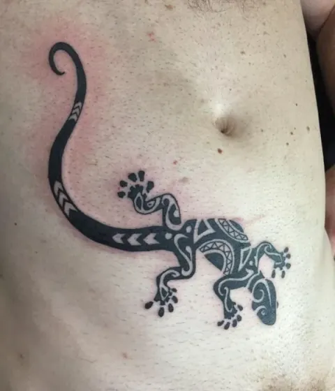 Guest - lizard