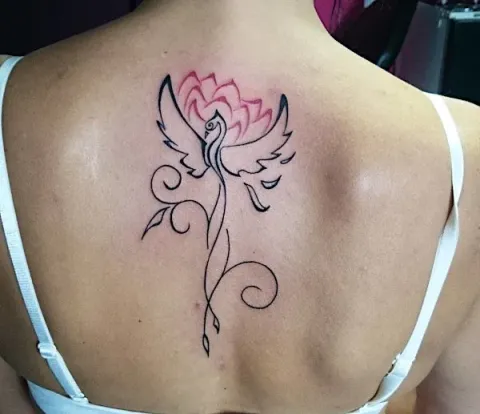 Guest - Phoenix lotus