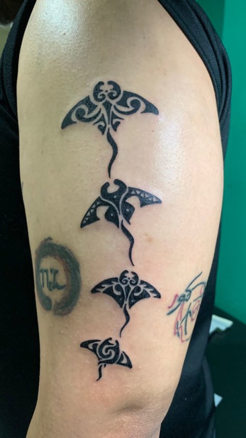 Ahmad - small mantas: real inked placement tattoo photo thumbnail