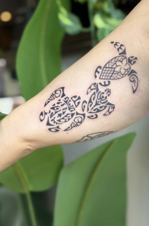 Alyssa - Three turtles: real inked placement tattoo photo thumbnail