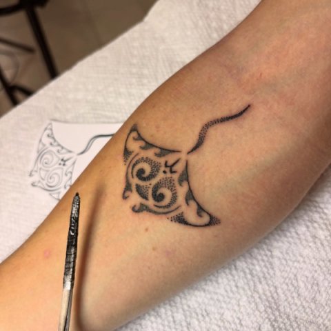 Armand - manta: real inked placement tattoo photo thumbnail