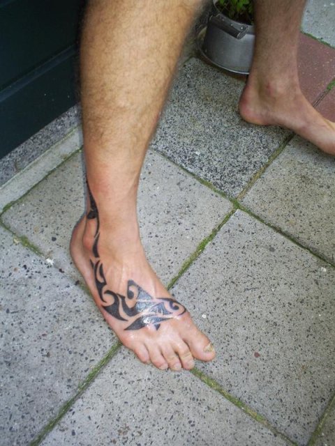 Augustus - Shark: real inked placement tattoo photo thumbnail