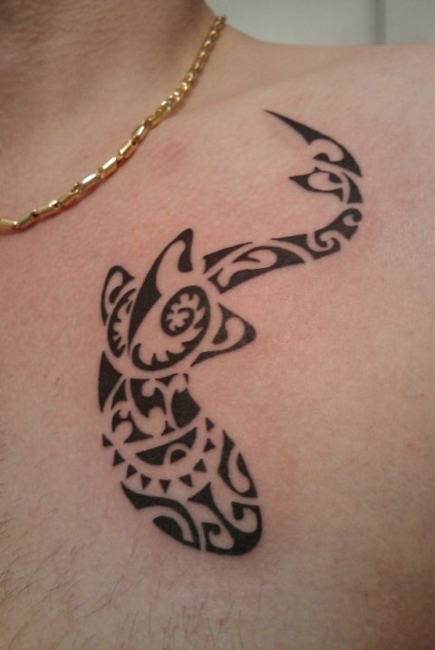 Danko - Shark: real inked placement tattoo photo thumbnail