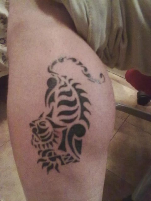 Davide - Tiger: real inked placement tattoo photo thumbnail