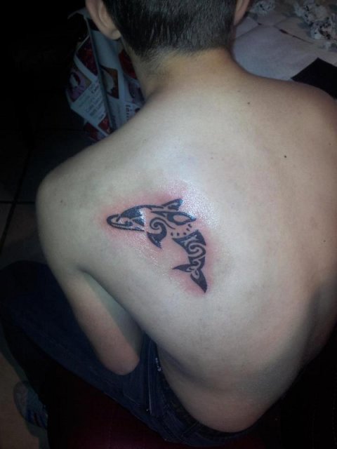 Fastlife - dolphin: real inked placement tattoo photo thumbnail