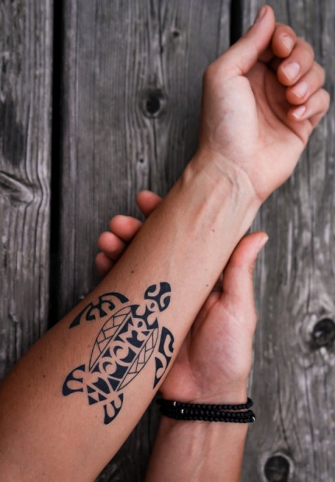 Honza - IPPM turtle: real inked placement tattoo photo thumbnail